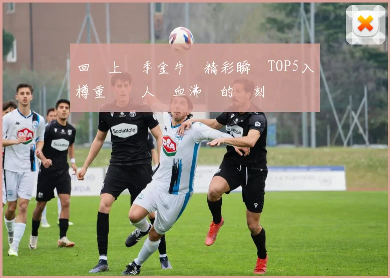 回顧上賽季金牛隊精彩瞬間TOP5入樽重溫讓人熱血沸騰的時刻